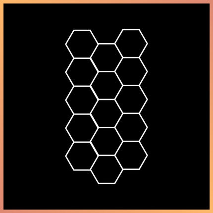 Hexagon 22