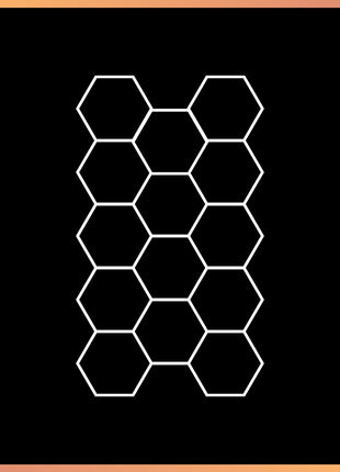 Hexagon 19