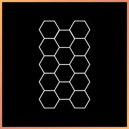 Hexagon 19