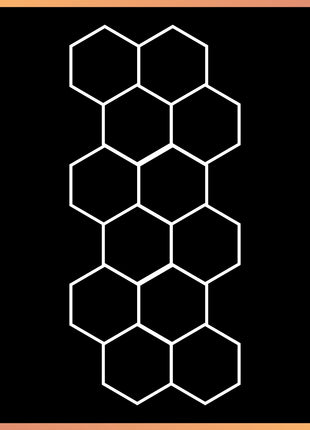 Hexagon 12