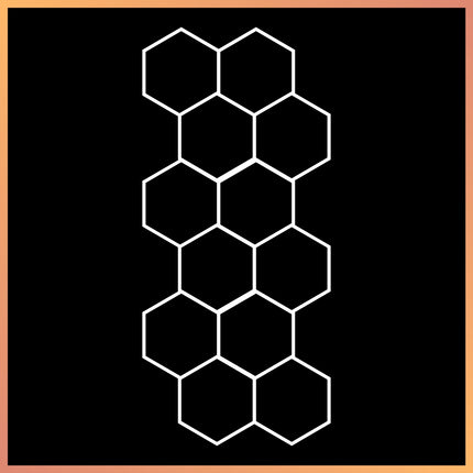 Hexagon 12