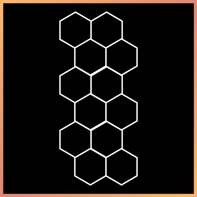 Hexagon 12