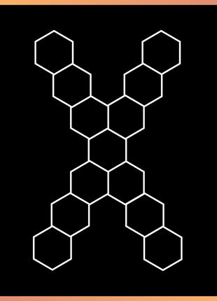 Hexagon 13