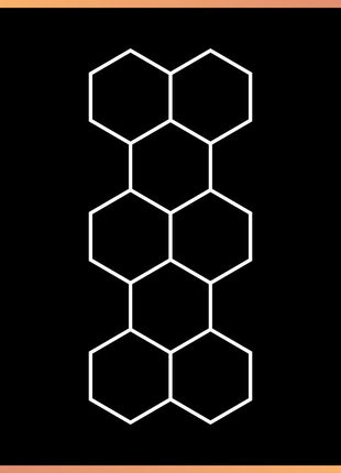 Hexagon 8