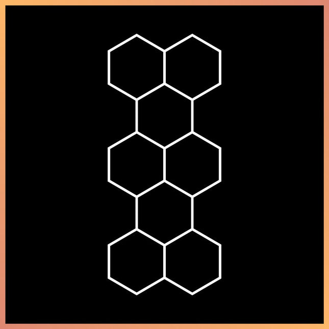 Hexagon 8