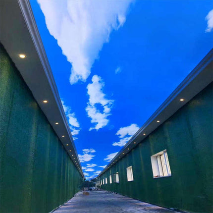Sky Stretch Ceiling Lighting