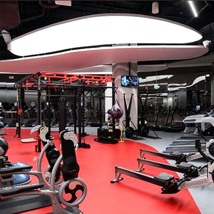 Stretch Ceiling Lighting for Gym