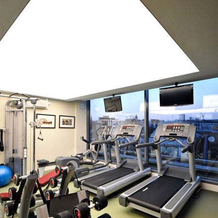 Stretch Ceiling Lighting for Gym